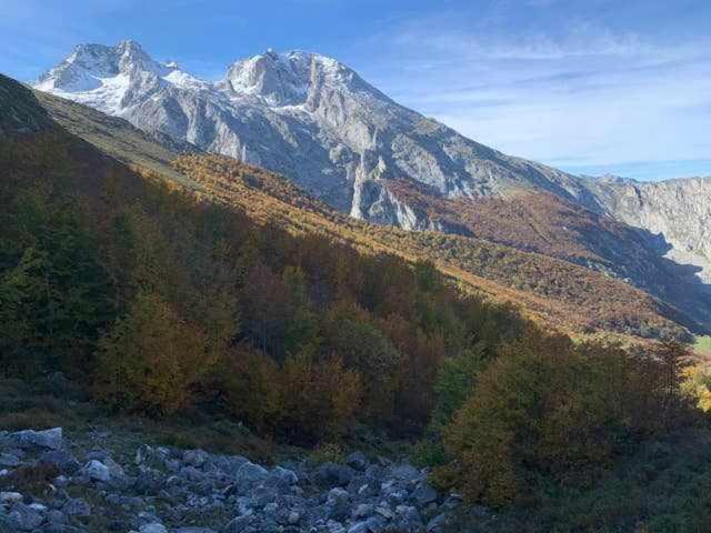 Cumbres De Los Picos Apartamento La Yedra Poo  Buitenkant foto